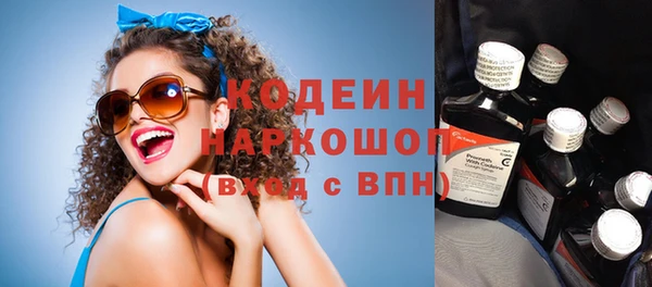 прущий лед Алзамай