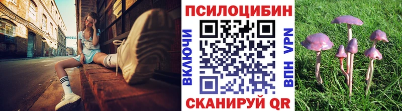 Псилоцибиновые грибы мицелий  Кяхта 